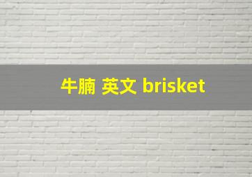 牛腩 英文 brisket